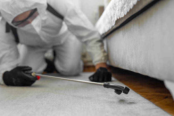 Professional Bed Bug Control technician working in Monmouth Junction, NJ