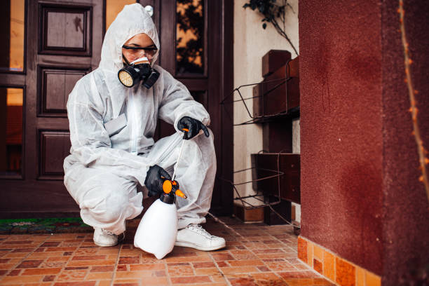 Reliable Bed Bug Control contractor in Monmouth Junction, NJ by Nex Pest Control